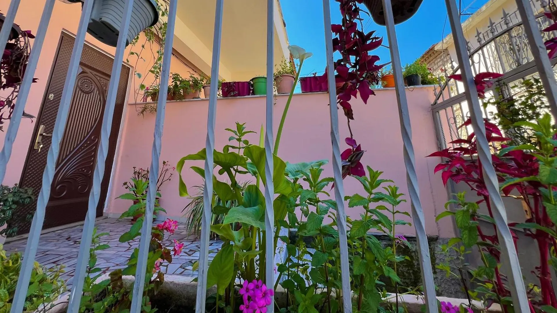 Gasthuis Villa Ensalv Berat - Apartment - Room - Penthouse