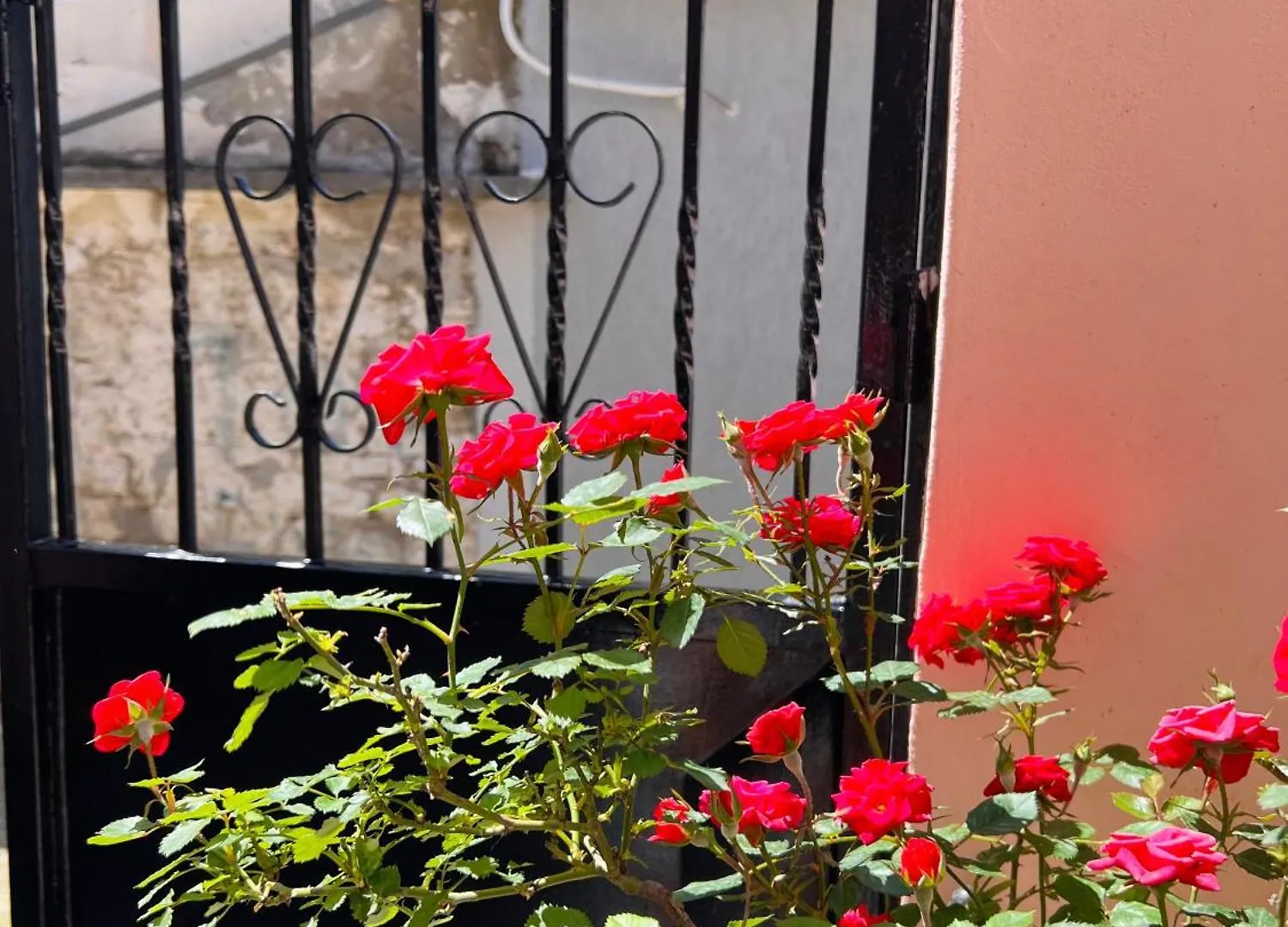Villa Ensalv Berat - Apartment - Room - Penthouse
