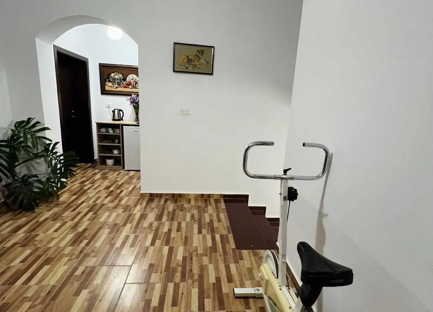 Villa Ensalv Berat - Apartment - Room - Penthouse